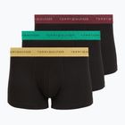 Vyriškos trumpikės Tommy Hilfiger Trunk Metallic gold/burgundy/green