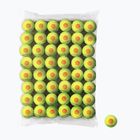 Wilson Starter Orange Tball vaikų teniso kamuoliukai 48 vnt. geltoni WRT13730B
