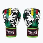 Bokso pirštinės Twins Special Fancy FBGVL3-54 Grass green/black