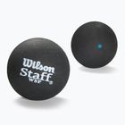 Skvošo kamuoliai Wilson Staff Ball Blue Dot 12 vnt. black