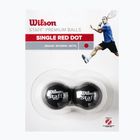 Wilson Staff skvošo kamuoliukai Red Dot 2 vnt. juodi WRT617700+
