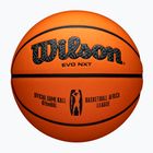 Krepšinio kamuolys Wilson EVO NXT Africa League brown dydis 7