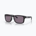 Akiniai nuo saulės Oakley Holbrook matte black/prizm grey