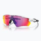 Vaikiški akiniai nuo saulės Oakley Radar EV XS Path matte white/prizm road