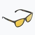 Akiniai nuo saulės Oakley Frogskins Range dark brush/prizm 24k polarized