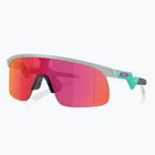 Vaikiški akiniai nuo saulės Oakley Resistor matte fog/prizm field