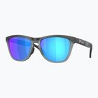Akiniai nuo saulės Oakley Frogskins Range matte black/prizm sapphire