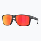 Akiniai nuo saulės Oakley Holbrook XXL matte black camo/prizm ruby