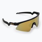 Vaikiški saulės akiniai Oakley Resistor Sweep polished matte black/Prizm 24K
