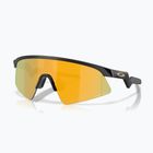 Vaikiški saulės akiniai Oakley Resistor Sweep polished matte black/Prizm 24K