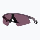 Vaikiški saulės akiniai Oakley Resistor Sweep trans aubergine/prizm indigo