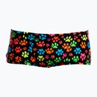 Vyriškos plaukimo trumpikės Funky Trunks Classic Trunks pawsome