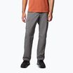 Vyriškos žygio kelnės Columbia Silver Ridge Utility city grey