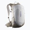 Turistinė kuprinė Salomon Trailblazer 20 l khaki/glacier gray