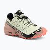 Moteriški bėgimo bateliai Salomon Speedcross 6 GTX lime cream/mahogany rose/black