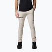 Vyriškos žygio kelnės Columbia Titan Pass Pant II dark stone