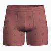 Termoaktyvios trumpikės icebreaker Merino150 Anatomica Boxers Explore More plume/aop