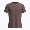 Vyriški žygio marškinėliai icebreaker Merino 125 Cool-Lite Sphere III SS Tee carob heather