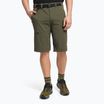 Vyriški žygio šortai The North Face Speedlight green NF00A8SF21L1