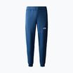 Vyriškos kelnės The North Face Ma Fleece shady blue/summit navy