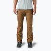 Vaikiškos žygio kelnės Patagonia Terravia Trail Regular coriander brown