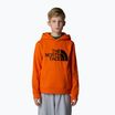 Vaikiškas džemperis The North Face Drew Peak P/O Hoodie orange