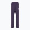 Moteriškos kelnės Nike Sportswear Fleece dark raisin