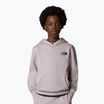 Vaikiškas džemperis The North Face Teen Simple Dome Hoodie moonstone grey