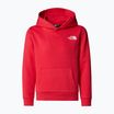 Vaikiškas džemperis The North Face Teen Simple Dome Hoodie hibiscus