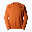 Vyriškas džemperis The North Face Raglan Box Nse Crew iron bronze/tnf black