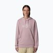 Moteriškas džemperis The North Face Drew Peak Light Hoodie metali pink/white dune
