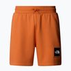 Vyriški žygio šortai The North Face Box Nse Regular iron bronze/tnf bronze