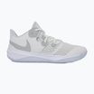 "Nike Zoom Hyperspeed Court SE" bateliai smmit white/metallic silver/pure platinum