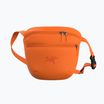 Arc'teryx Mantis 2 2,5 l verve maišelis