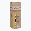 Teniso kamuoliukai Babolat Orange Box 3 vnt. yellow