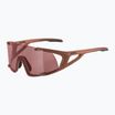 Akiniai nuo saulės Alpina Hawkeye Q-Lite brick matt/black red mirror
