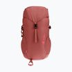 Vaikiška turistinė kuprinė deuter Climber 22 l redwood/hibiscus