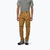 Vyriškos žygio kelnės Salewa Puez Hemp/Dst 2/1 golden brown