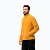 Vyriškas žygio džemperis Jack Wolfskin Taunus Fz