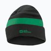 Vaikiška žieminė kepurė Jack Wolfskin Stripy Knit slate green/mystic