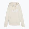 Moteriškas džemperis PUMA ESS No. 1 Logo Hoodie TR alpine snow