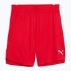 Vyriški krepšinio šortai PUMA teamJAWS Starter for all time red