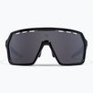 Akiniai nuo saulės Endura Singletrack black/platinum revo smoke/clear silver flash mirror
