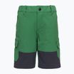 Vaikų trekingo šortai LEGO Lwpayton 300 green 11010121