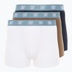 Vyriškos trumpikės CR7 Basic Trunk 3 poros 712 multicolour