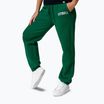 Moteriškos kelnės Pitbull Tyrian Trackpants green