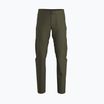 Vyriškos trekingo kelnės Arc'teryx Gamma SL tatsu