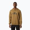 Vyriškas džemperis Helly Hansen Nord Graphic Pull Over Hoodie lynx