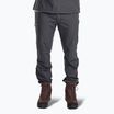 Vyriškos žygio kelnės Pinewood Finnveden Sports Light ash grey