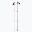 GABEL Mont Blanc F.L. 4.0 trekingo lazdos raudonos spalvos 7008432400000